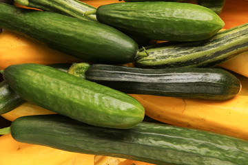 Guken Gurke Zucchini Salatgurken Haufen Ernte Gemüse Garten Gemüsegarten