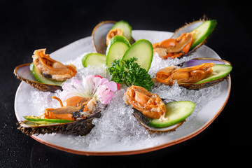 Fresh arkshell on the cucumber slices with ice in a white dish