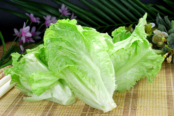 Fresh green lettuce vegetables on the mat