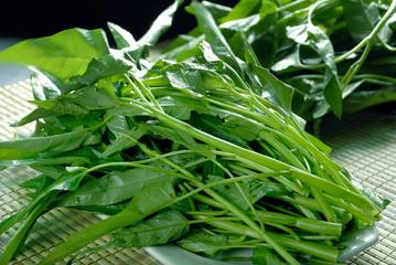 Fototapeta premium Fresh green water spinach on the mat