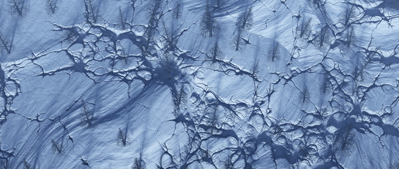 Aerial of bare trees in frozen cracked landscape.