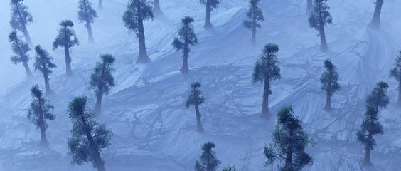Fototapeta na wymiar Aerial of sequoia trees in misty frozen cracked landscape.