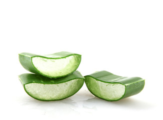 Aloe Vera Plant Isolated On White Background