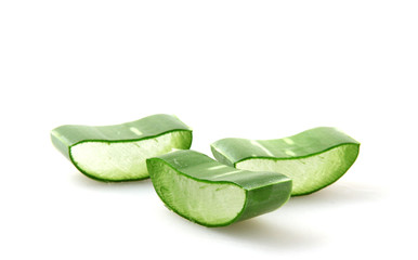 Aloe Vera Plant Isolated On White Background