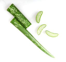 Aloe Vera Plant Isolated On White Background