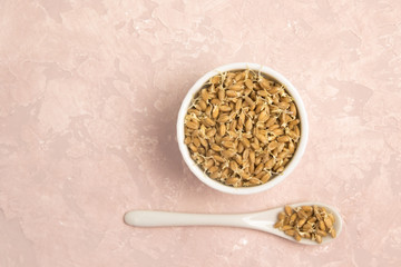 Sprouted wheat on a light background. toned