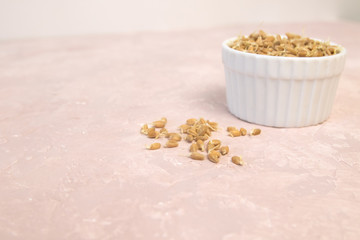 Sprouted wheat on a light background. toned