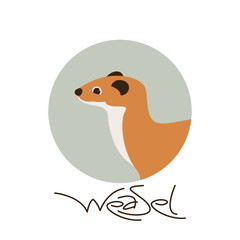 weasel vector illustration, flat style, ,profile view