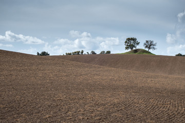 Dänemark, Moen, Hügellandschaft