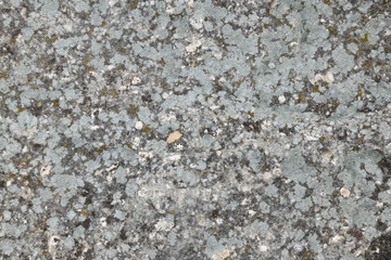 Close up of stone texture 