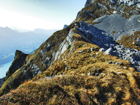 Rocks and stones from the top of Brisi and from the rocky valley Frumseltal - Canton of St. Gallen, Switzerland