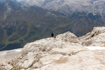 Dolomiti Mountains in Val di Fassa Italy