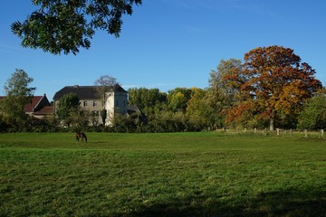 Obraz premium Pferdeweide