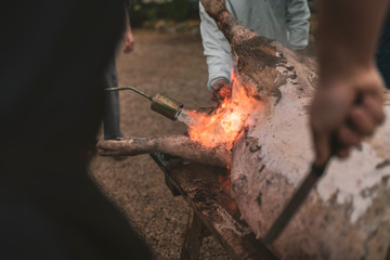 Farmer at pig slaughter burning skin to remove hair.