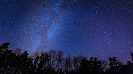 Naklejka premium Beautiful night sky with Milky Way over forest.