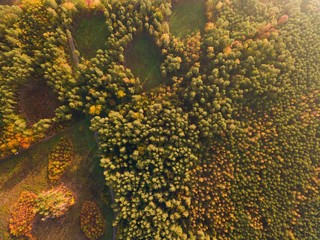 Obraz na płótnie Canvas Aerial top down landscape with beautiful autumn forest from above