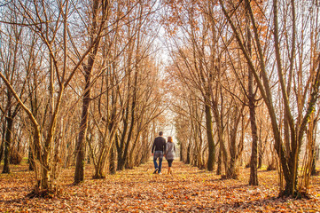 young couple, dressed in modern casual way, walk immersed in autmn woods, with orange leaves falling creating a romantic scenery