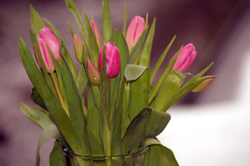 Lila Tulpen in der Vase