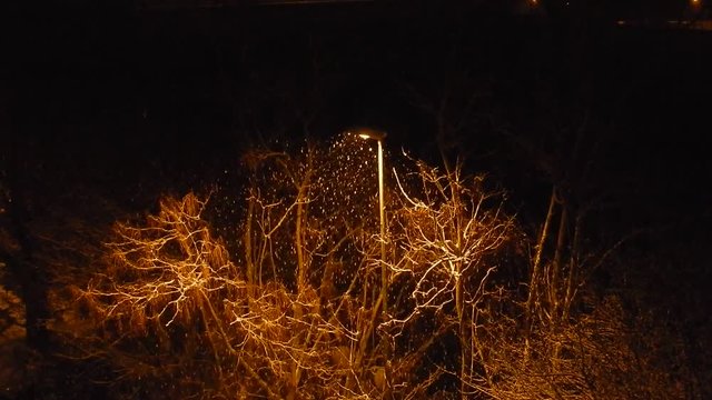 Benevento - Nevicata notturna sotto il lampione