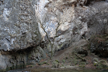 Untreated rough natural gray stone in everyday environment