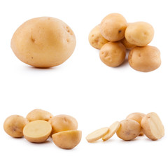 Collection of potato isolated on white background