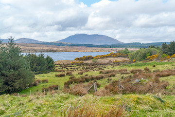 Fototapeta na wymiar waterside scenery in Connemara