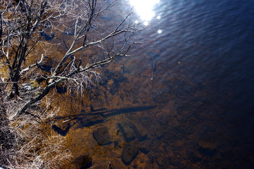 reflection of the sunshine in the river