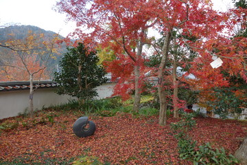 大原三千院