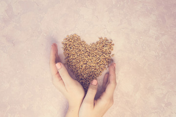 Sprouted wheat in shape of heart with woman hands on a light background. toned