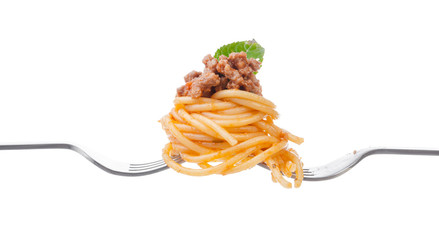 Pasta spaghetti with bolognese sauce on a fork