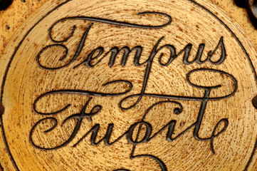 Tempus Fugit  ft91015743
