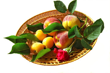 Peaches and apricots in a basket on white