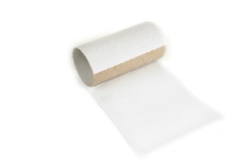 Empty toilet paper roll on a white background. Bad luck concept