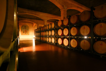 wine barrels in cellar