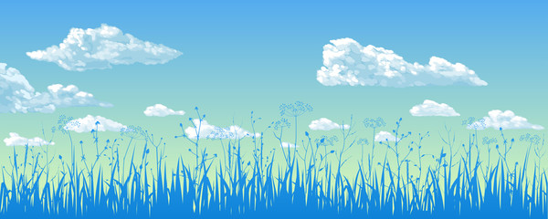 Panorama - the blue sky, clouds, wild grasses.