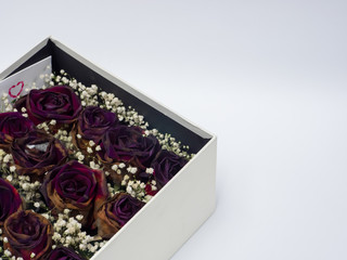 Dry roses in gift box on white background, Copy space.