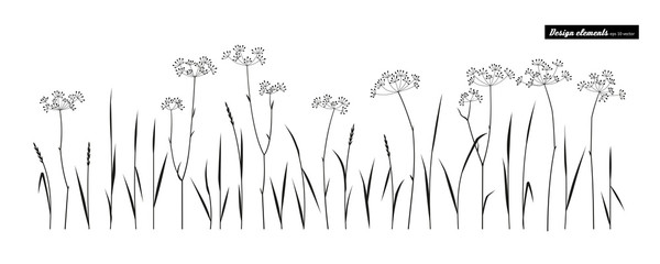 Meadow grass.