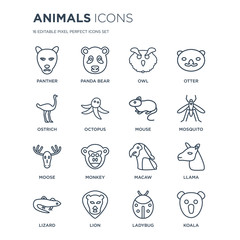 16 linear animals icons such as Panther, Panda bear, Lion, Lizard, Llama, Koala, Ostrich, Moose, Mouse modern with thin stroke, vector illustration, eps10, trendy line icon set.