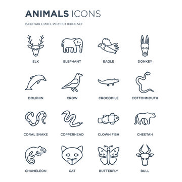 16 linear animals icons such as Elk, Elephant, Cat, Chameleon, Cheetah, Bull, Dolphin, coral snake, Crocodile modern with thin stroke, vector illustration, eps10, trendy line icon set.