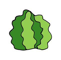 Cactus vector doodle cartoon Hand drawn illustration