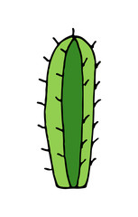 Cactus vector doodle cartoon Hand drawn illustration
