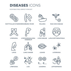16 linear Diseases icons such as Mattticular syndrome, Marburg fever, Lice, Limbtoosa, Listeriosis, Leptospirosis modern with thin stroke, vector illustration, eps10, trendy line icon set.