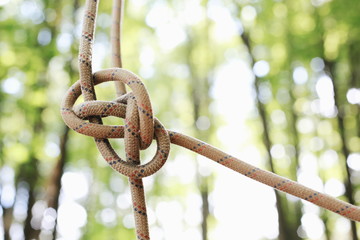 Processed with VSCO with a6 preset