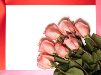 A bouquet of pink roses on a white background in a red-pink frame of silk ribbon