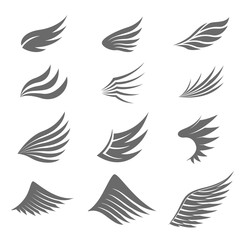 Set of gray wings on white background