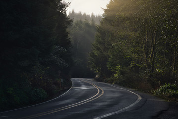 Oregon Roads and sunlight © lhboucault