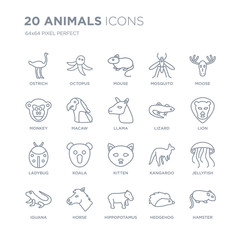 Collection of 20 animals linear icons such as Ostrich, Octopus, Hippopotamus, Horse, iguana, Moose, Lizard, kitten, Ladybug line icons with thin line stroke, vector illustration of trendy icon set.