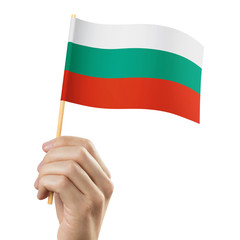 Hand holding flag of Bulgaria, isolated on white background