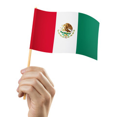 Hand holding flag of Mexico, isolated on white background