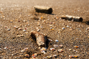 Beach sands and wooden texture